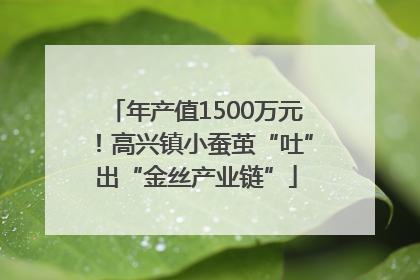 年产值1500万元！高兴镇小蚕茧“吐”出“金丝产业链”