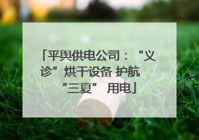 平舆供电公司：“义诊”烘干设备 护航 “三夏” 用电