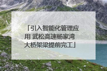 引入智能化管理应用 武松高速杨家湾大桥架梁提前完工