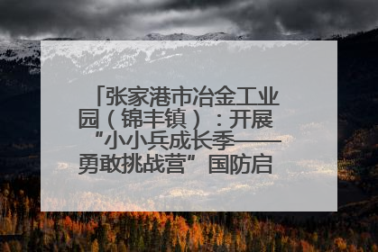 张家港市冶金工业园（锦丰镇）：开展“小小兵成长季——勇敢挑战营”国防启蒙教育活动