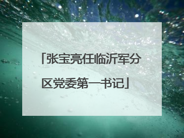张宝亮任临沂军分区党委第一书记