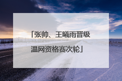 张帅、王曦雨晋级温网资格赛次轮