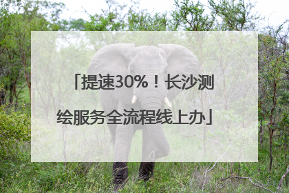 提速30%！长沙测绘服务全流程线上办