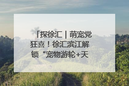 探徐汇｜萌宠党狂喜！徐汇滨江解锁“宠物游轮+天台乐园”双玩法