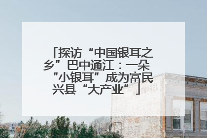 探访“中国银耳之乡”巴中通江：一朵“小银耳”成为富民兴县“大产业”