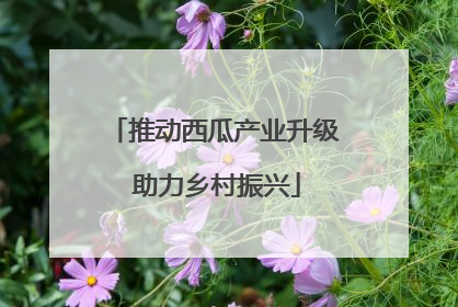 推动西瓜产业升级 助力乡村振兴