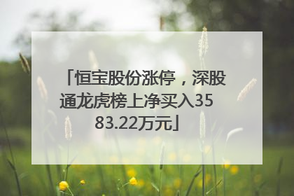 恒宝股份涨停，深股通龙虎榜上净买入3583.22万元