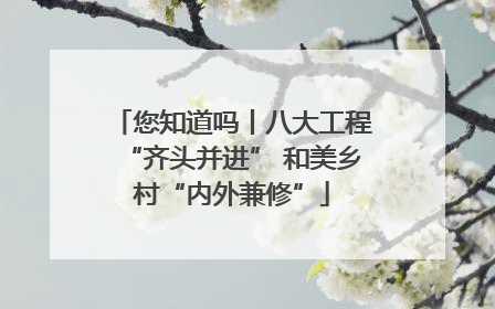 您知道吗丨八大工程“齐头并进” 和美乡村“内外兼修”