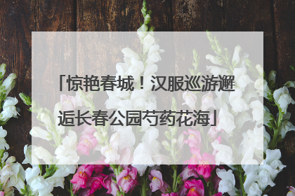 惊艳春城！汉服巡游邂逅长春公园芍药花海