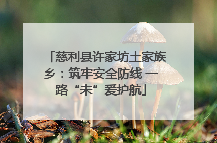 慈利县许家坊土家族乡：筑牢安全防线 一路“未”爱护航