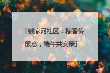 戴家河社区：粽香传廉意，端午共安康