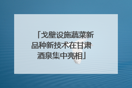 戈壁设施蔬菜新品种新技术在甘肃酒泉集中亮相
