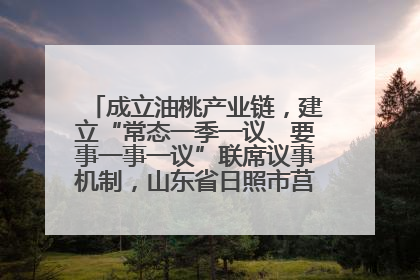 成立油桃产业链，建立“常态一季一议、要事一事一议”联席议事机制，山东省日照市莒县果庄镇——13个党小组“全周期”育果