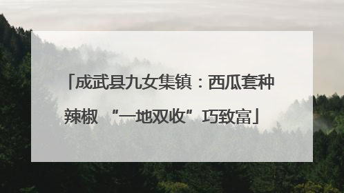 成武县九女集镇：西瓜套种辣椒 “一地双收”巧致富