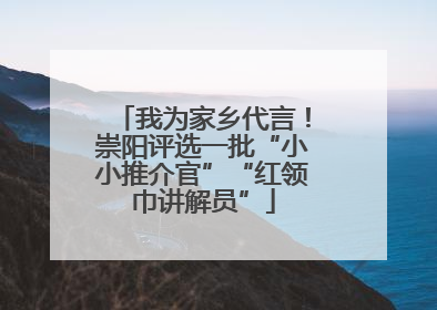 我为家乡代言！崇阳评选一批“小小推介官”“红领巾讲解员”