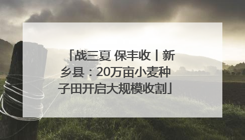 战三夏 保丰收丨新乡县：20万亩小麦种子田开启大规模收割