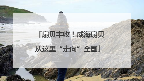 扇贝丰收！威海扇贝从这里“走向”全国