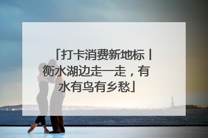 打卡消费新地标丨衡水湖边走一走，有水有鸟有乡愁