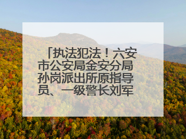 执法犯法！六安市公安局金安分局孙岗派出所原指导员、一级警长刘军被“双开”