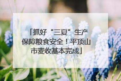 抓好“三夏”生产 保障粮食安全！平顶山市麦收基本完成