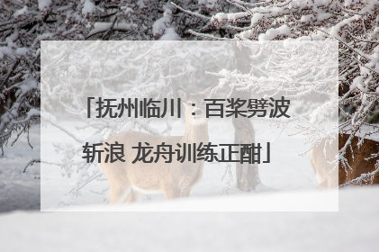 抚州临川：百桨劈波斩浪 龙舟训练正酣
