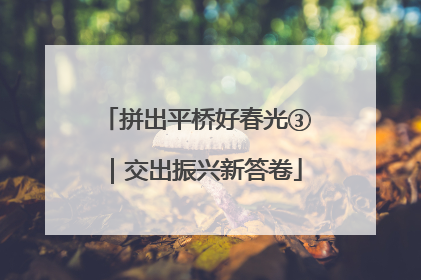 拼出平桥好春光③｜交出振兴新答卷
