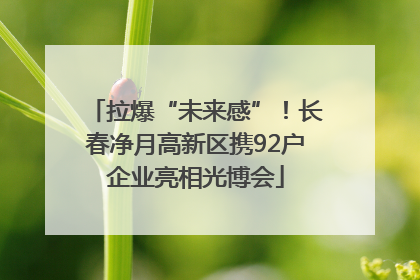 拉爆“未来感”！长春净月高新区携92户企业亮相光博会