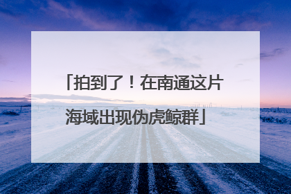 拍到了！在南通这片海域出现伪虎鲸群