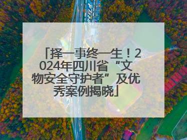 择一事终一生！2024年四川省“文物安全守护者”及优秀案例揭晓