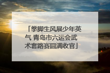 拳脚生风展少年英气 青岛市六运会武术套路赛圆满收官