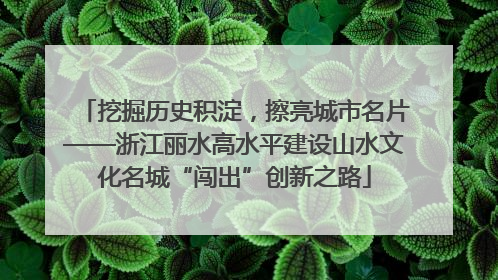 挖掘历史积淀，擦亮城市名片——浙江丽水高水平建设山水文化名城“闯出”创新之路