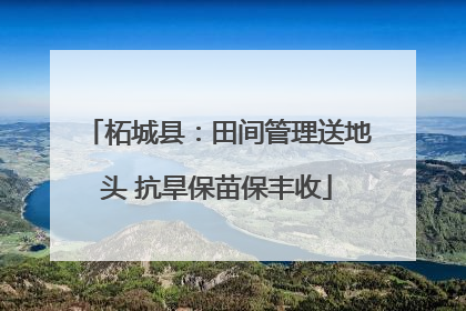 柘城县：田间管理送地头 抗旱保苗保丰收