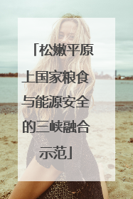 松嫩平原上国家粮食与能源安全的三峡融合示范
