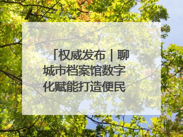 权威发布｜聊城市档案馆数字化赋能打造便民服务新模式
