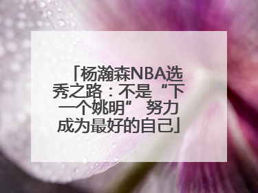 杨瀚森NBA选秀之路：不是“下一个姚明” 努力成为最好的自己