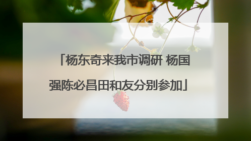 杨东奇来我市调研 杨国强陈必昌田和友分别参加
