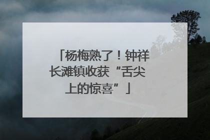 杨梅熟了！钟祥长滩镇收获“舌尖上的惊喜”