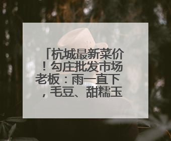 杭城最新菜价！勾庄批发市场老板：雨一直下，毛豆、甜糯玉米、生菜却更实惠