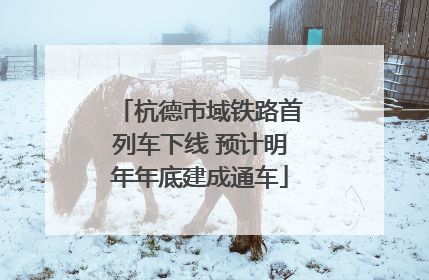 杭德市域铁路首列车下线 预计明年年底建成通车