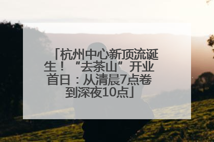 杭州中心新顶流诞生！“去茶山”开业首日：从清晨7点卷到深夜10点