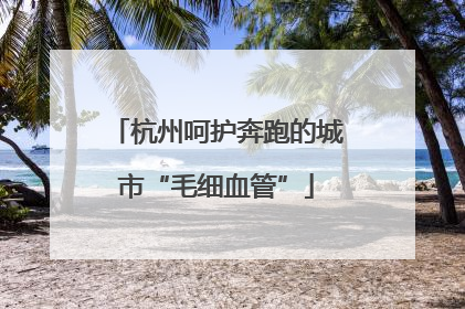 杭州呵护奔跑的城市“毛细血管”
