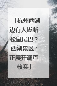 杭州西湖边有人拔断松鼠尾巴？西湖景区：正展开调查核实