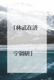 林武在济宁调研