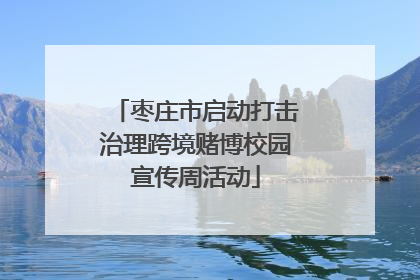 枣庄市启动打击治理跨境赌博校园宣传周活动