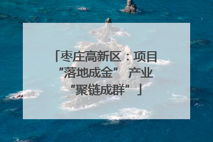 枣庄高新区：项目“落地成金” 产业“聚链成群”