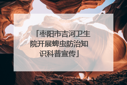 枣阳市吉河卫生院开展蜱虫防治知识科普宣传