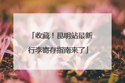 收藏！昆明站最新行李寄存指南来了