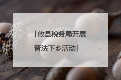 攸县税务局开展普法下乡活动