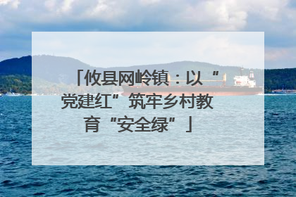 攸县网岭镇：以“党建红”筑牢乡村教育“安全绿”