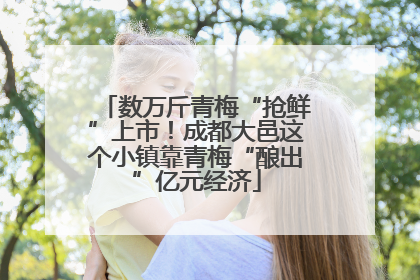 数万斤青梅“抢鲜”上市！成都大邑这个小镇靠青梅“酿出”亿元经济